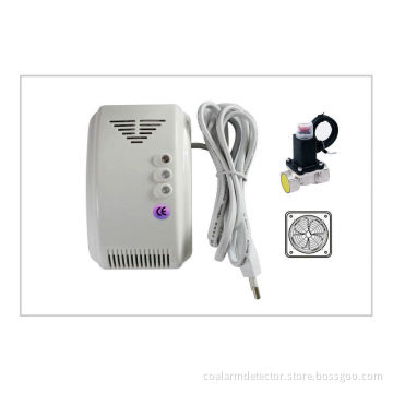 Natural Combustible Gases Detector / Carbon Monoxide And Gas Detector Lyd-706dvf